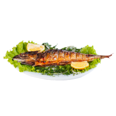 Скумбрия