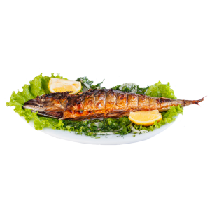 Скумбрия